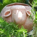 Le Pecore Di Terracotta 公寓 *