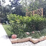 公寓 Le Pecore Di Terracotta 佩萨罗