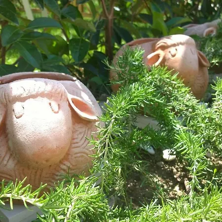 Le Pecore Di Terracotta Apartamento