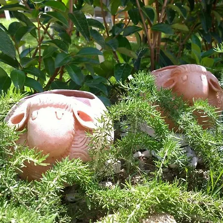 Le Pecore Di Terracotta Apartament *