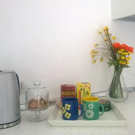 Le Pecore Di Terracotta Pesaro