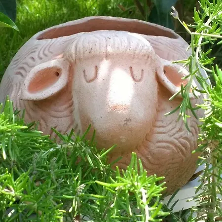 Le Pecore Di Terracotta Apartament *