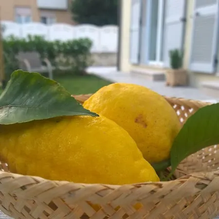 Le Pecore Di Terracotta Apartmán *