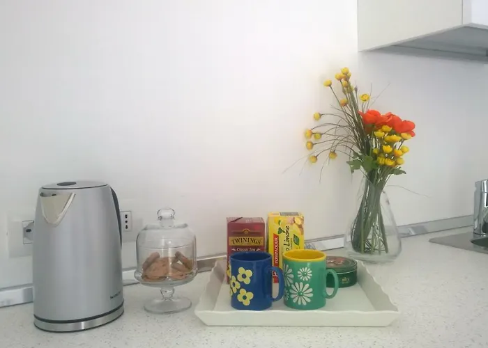 Le Pecore Di Terracotta Pesaro